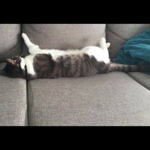 Meet your Posher, Alexandra